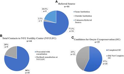 Fertility Preservation for Adolescent and Young Adult Transmen: A Case Series and Insights on Oocyte Cryopreservation